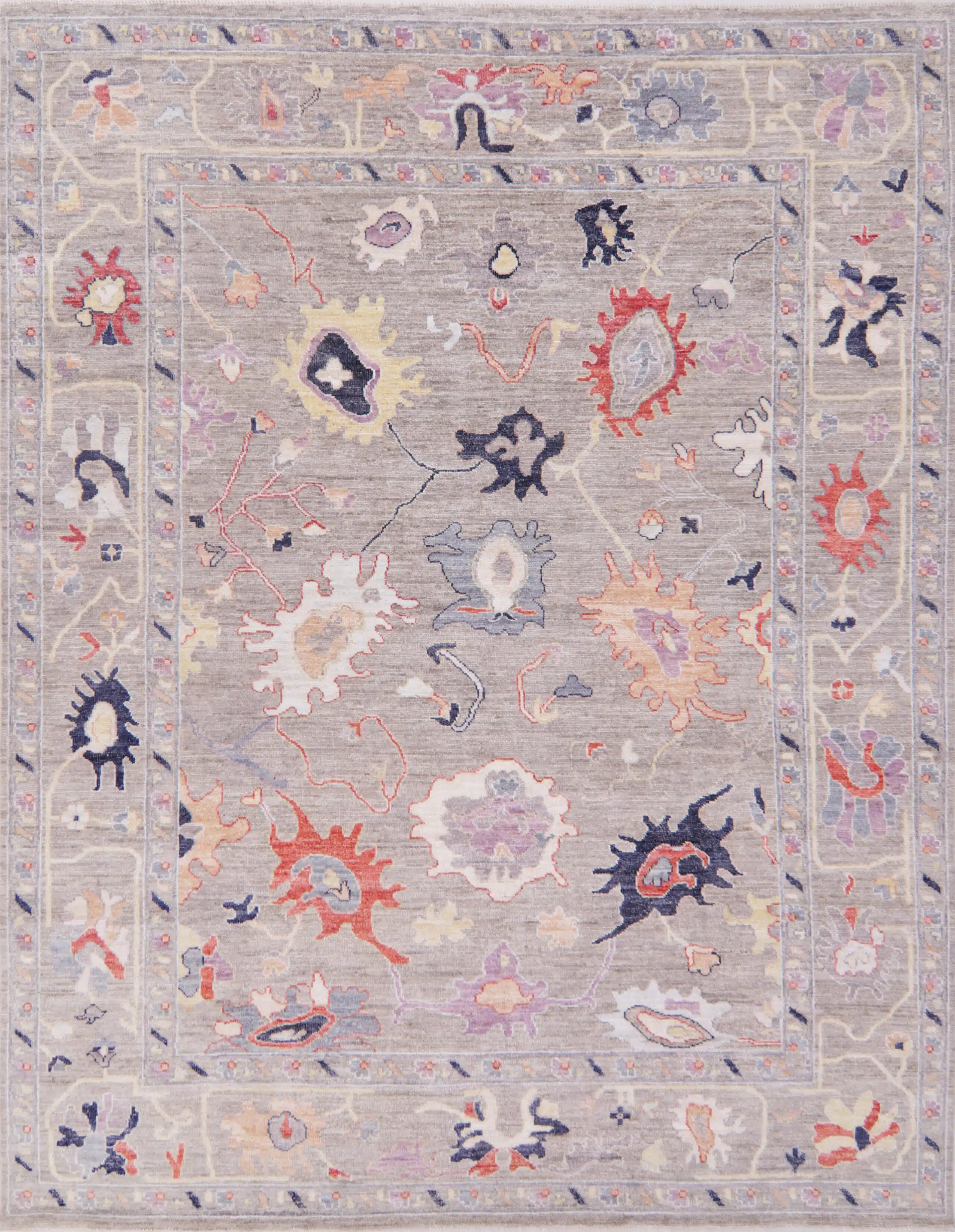 AF005836 shabahangrugs photo