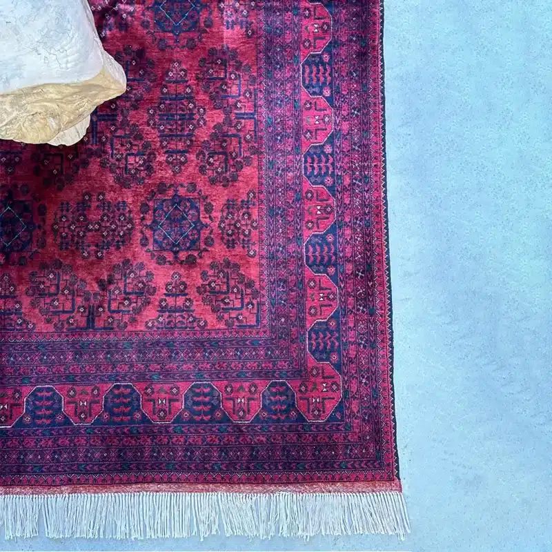 Why Professional Cleaning Beats DIY Steam Cleaning Every Time shabahangrugs photo