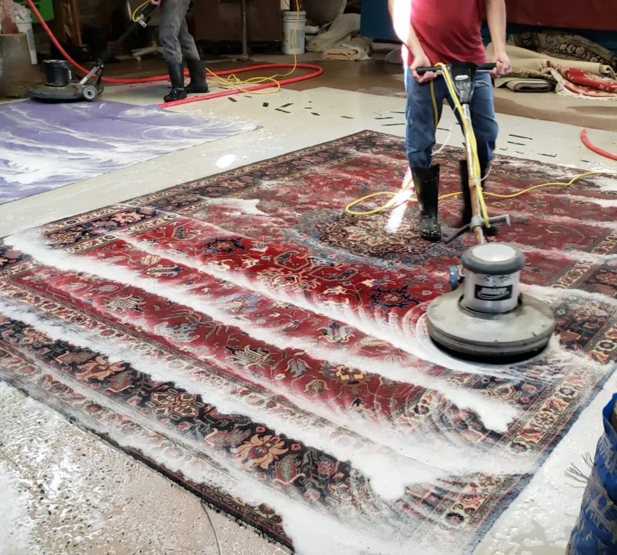 rugs cleaning services