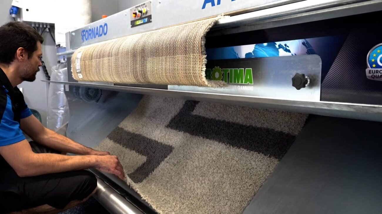 Understanding Fringe Repair and Restoration Options for Oriental Rugs DIRT REMOVAL