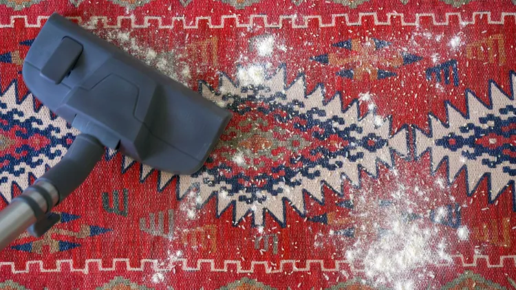 RUG CLEANING SERVICES