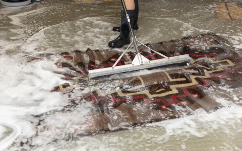 RUG CLEANING SERVICES